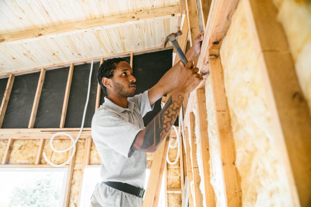 Best Insulation for New Construction  in Anthem, AZ
